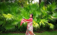 伊甸园之东结局